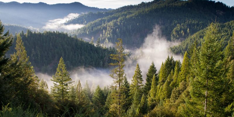 das-schmied-region-header