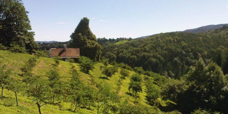 meadow-552820